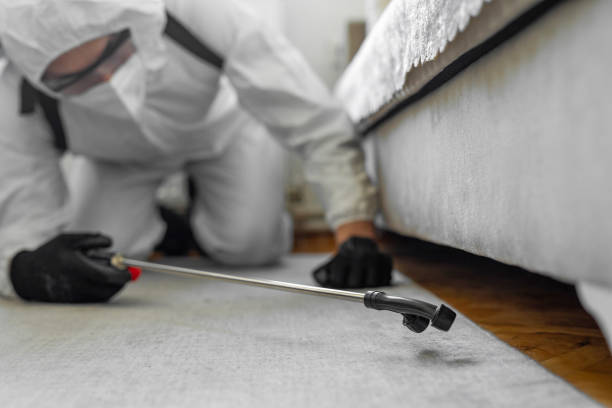 Professional Cockroach Control technician working in Oroville, WA