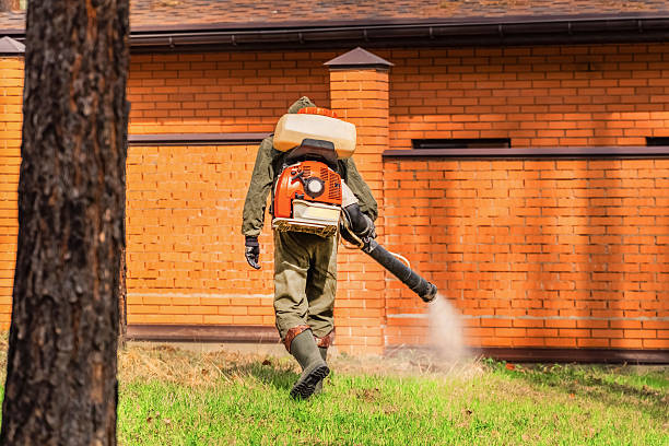 Top rated local Cockroach Control specialists in Oroville, WA